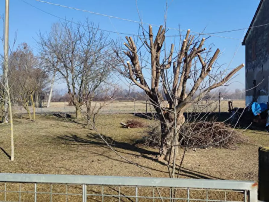 Immagine 4 di Rustico / casale in vendita  a Castelfranco Veneto