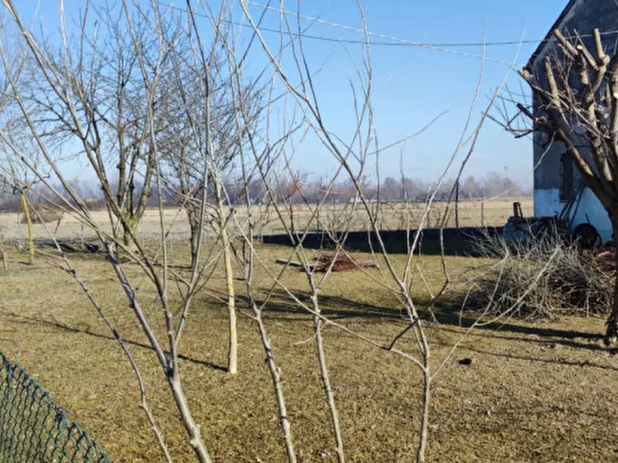 Immagine 5 di Rustico / casale in vendita  a Castelfranco Veneto
