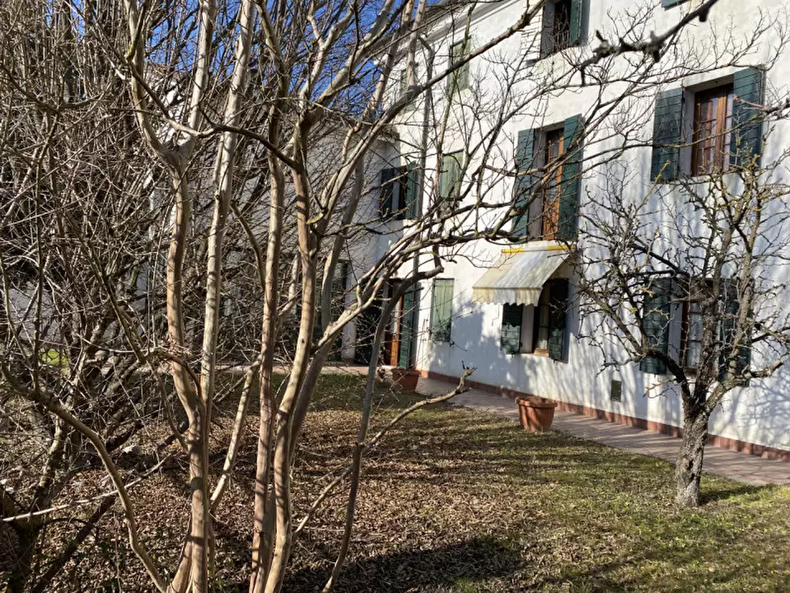 Immagine 1 di Casa trifamiliare in vendita  in Via Verdi a Trebaseleghe
