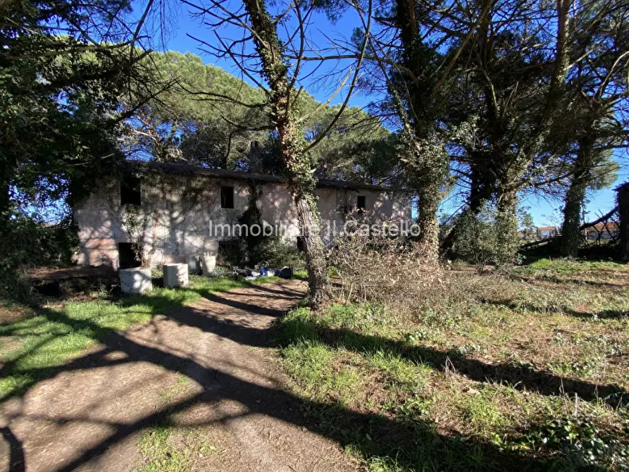 Immagine 1 di Rustico / casale in vendita  in Località Cascina a Castiglione Del Lago