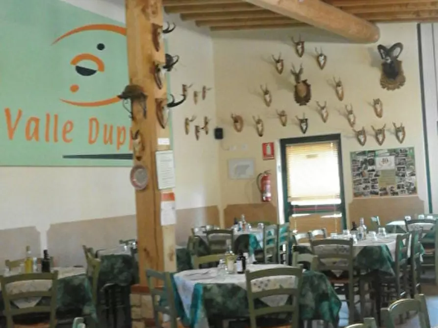 Immagine 5 di Attività commerciale in vendita  a Lodrino