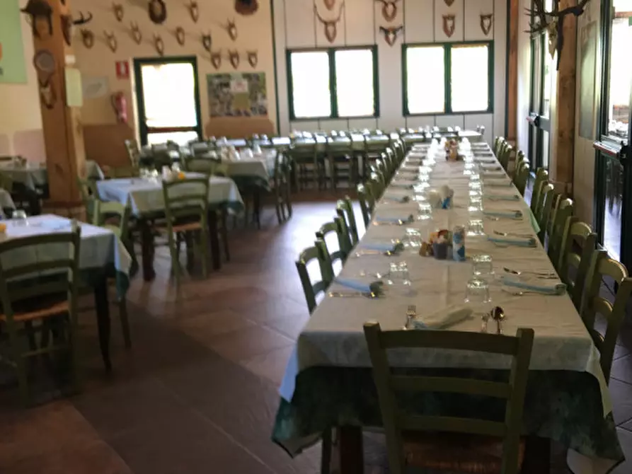 Immagine 6 di Attività commerciale in vendita  a Lodrino