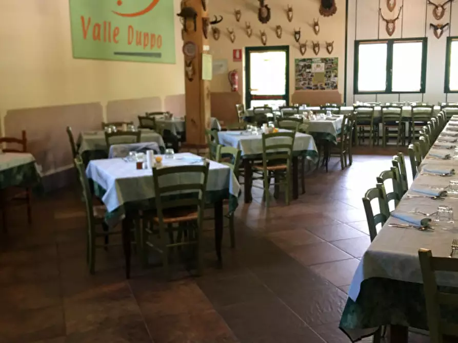 Immagine 7 di Attività commerciale in vendita  a Lodrino