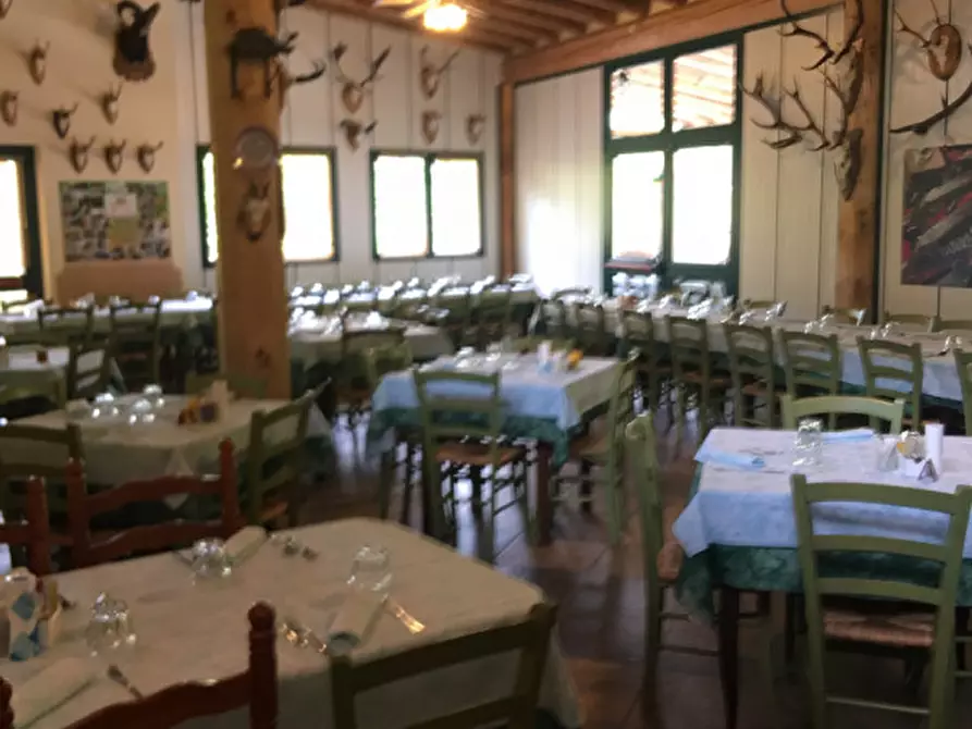 Immagine 8 di Attività commerciale in vendita  a Lodrino