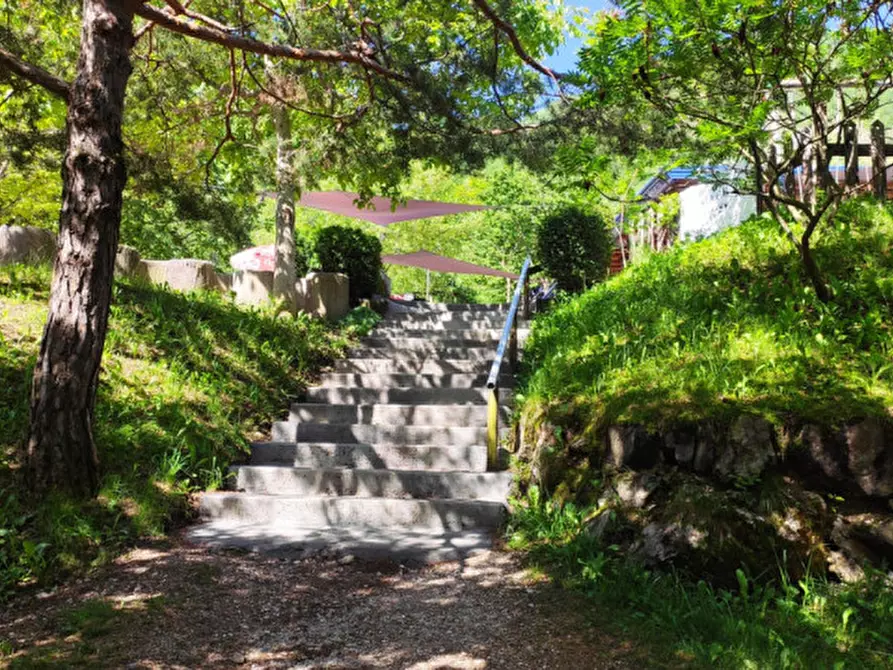 Immagine 16 di Attività commerciale in vendita  a Lodrino