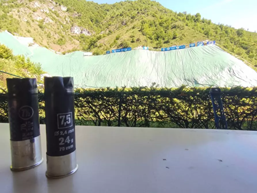 Immagine 19 di Attività commerciale in vendita  a Lodrino