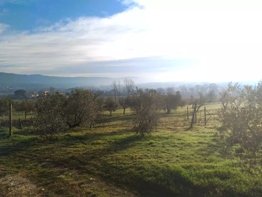 Immagine 2 di Laboratorio in vendita  a Tuoro Sul Trasimeno