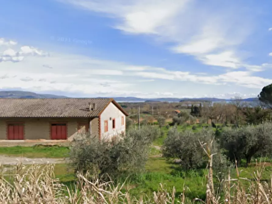 Immagine 3 di Laboratorio in vendita  a Tuoro Sul Trasimeno