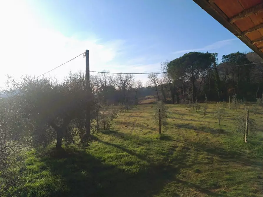 Immagine 4 di Laboratorio in vendita  a Tuoro Sul Trasimeno