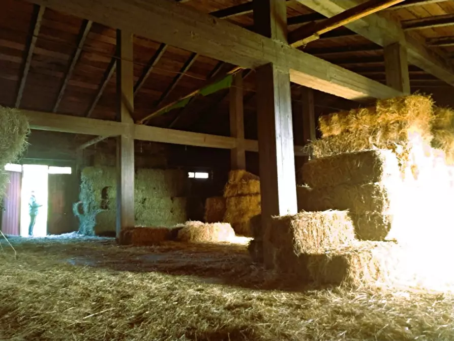 Immagine 5 di Laboratorio in vendita  a Tuoro Sul Trasimeno
