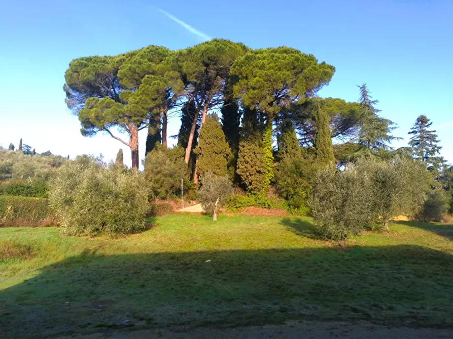 Immagine 6 di Laboratorio in vendita  a Tuoro Sul Trasimeno