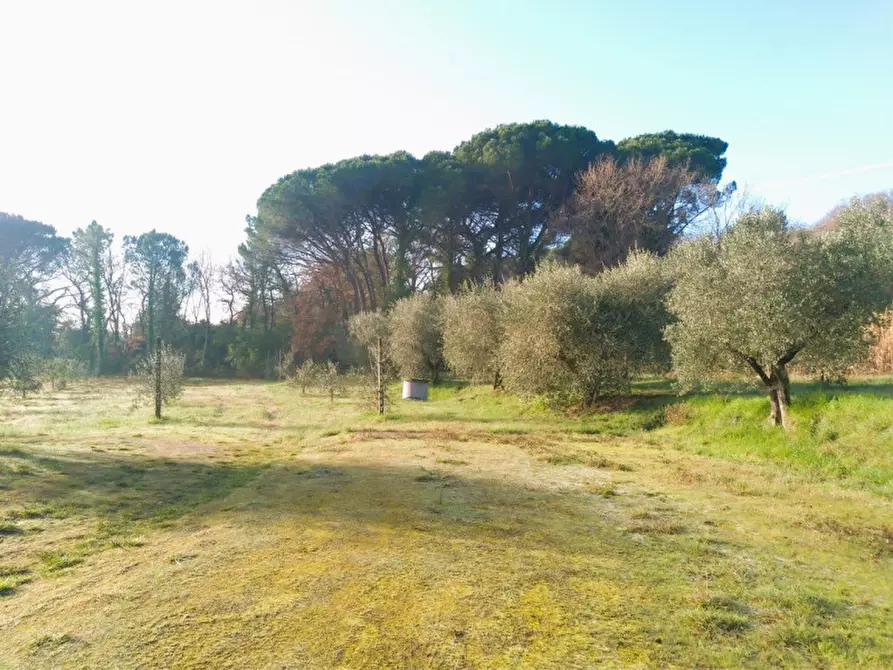 Immagine 7 di Laboratorio in vendita  a Tuoro Sul Trasimeno