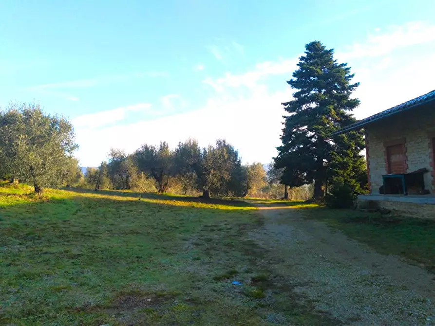 Immagine 8 di Laboratorio in vendita  a Tuoro Sul Trasimeno