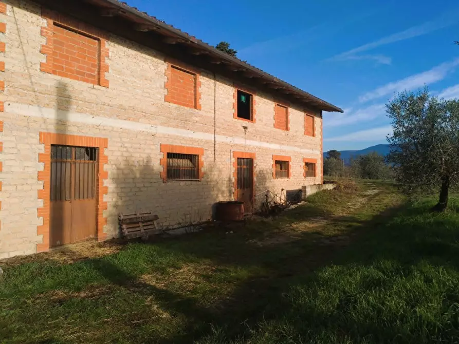 Immagine 10 di Laboratorio in vendita  a Tuoro Sul Trasimeno