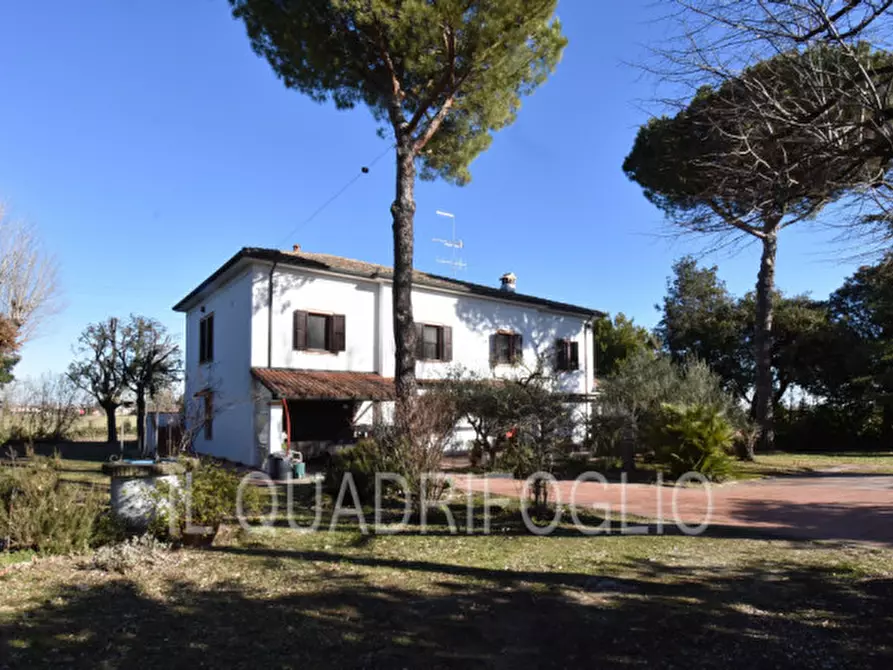 Immagine 34 di Villa in vendita  a Cesena