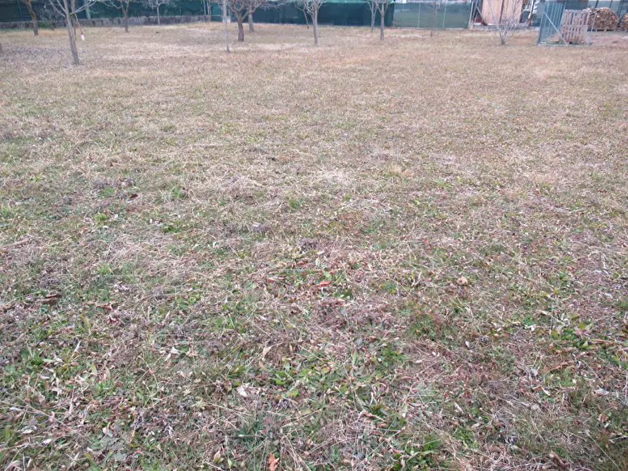 Immagine 5 di Terreno in vendita  in via boschieri a Crocetta Del Montello