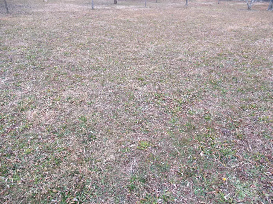 Immagine 11 di Terreno in vendita  in via boschieri a Crocetta Del Montello