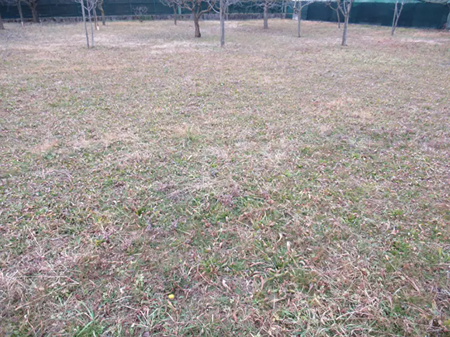 Immagine 13 di Terreno in vendita  in via boschieri a Crocetta Del Montello