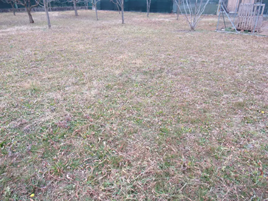 Immagine 15 di Terreno in vendita  in via boschieri a Crocetta Del Montello