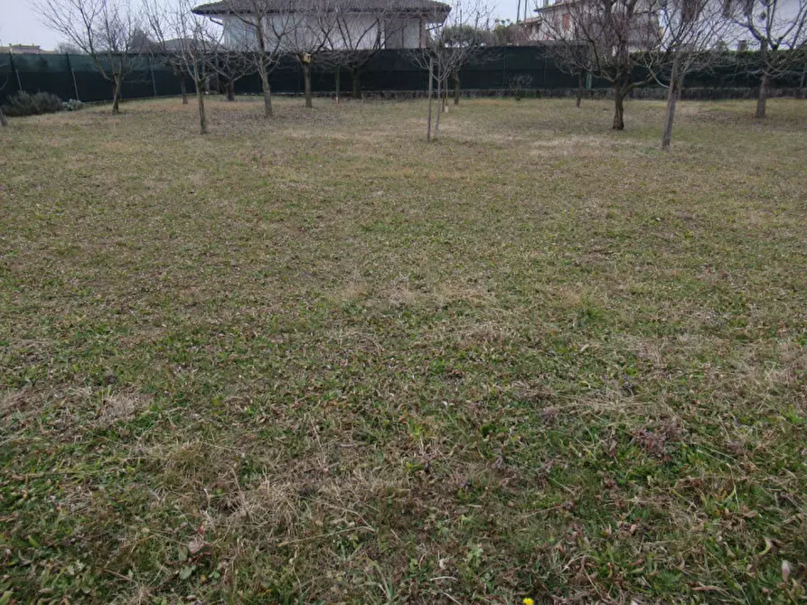 Immagine 16 di Terreno in vendita  in via boschieri a Crocetta Del Montello