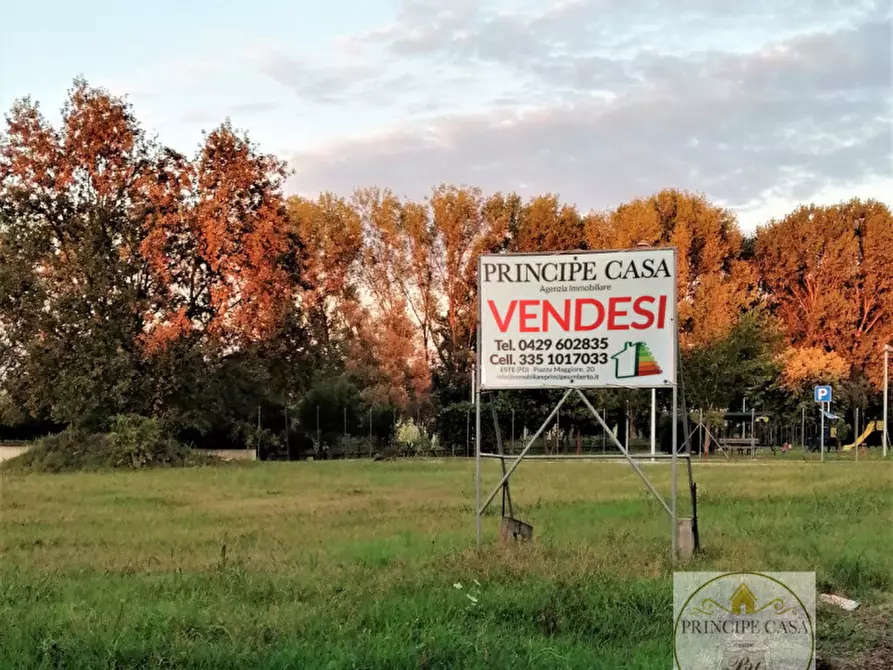 Immagine 4 di Terreno in vendita  in via Padana Inferiore a Este
