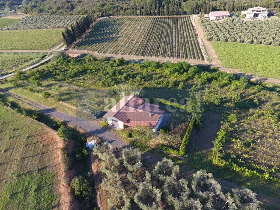 Immagine 2 di Terreno in vendita  a Castiglione Della Pescaia
