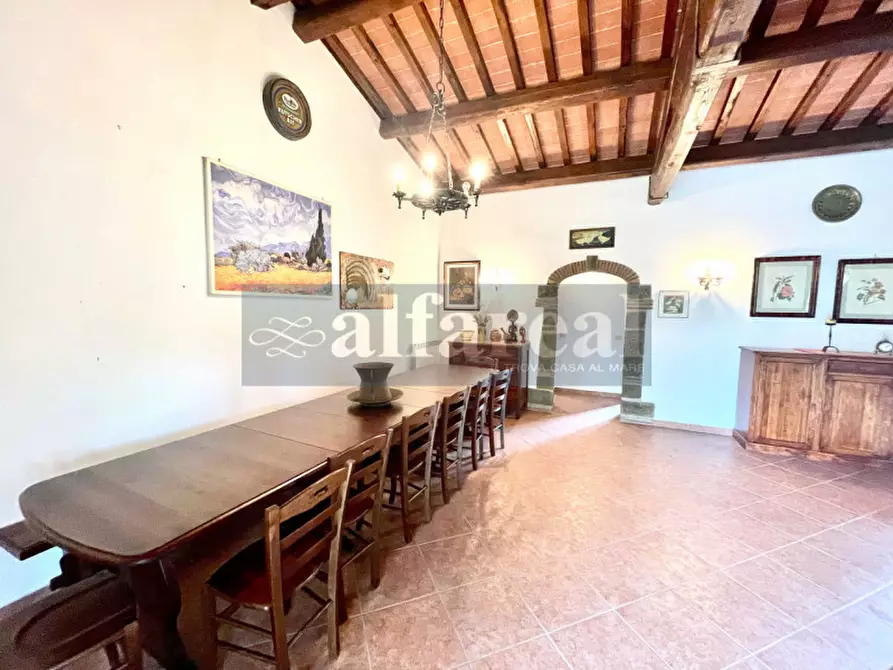 Immagine 7 di Terreno in vendita  a Castiglione Della Pescaia