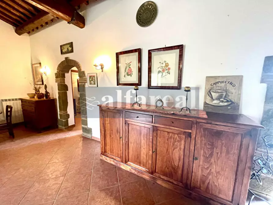 Immagine 10 di Terreno in vendita  a Castiglione Della Pescaia