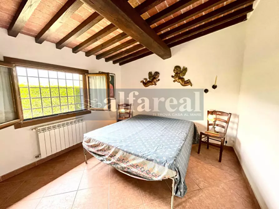 Immagine 11 di Terreno in vendita  a Castiglione Della Pescaia