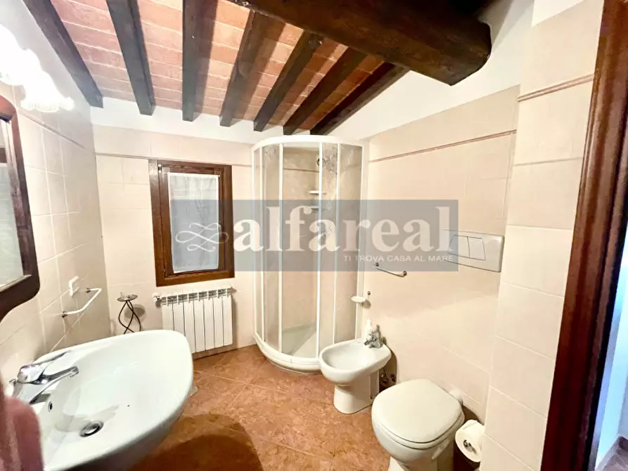 Immagine 15 di Terreno in vendita  a Castiglione Della Pescaia