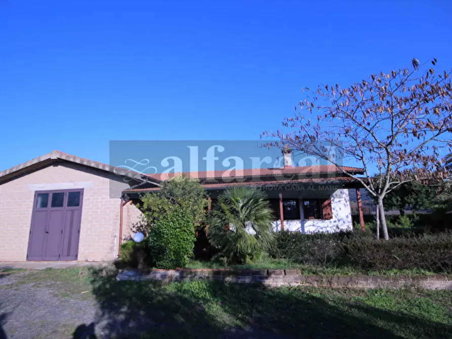 Immagine 18 di Terreno in vendita  a Castiglione Della Pescaia