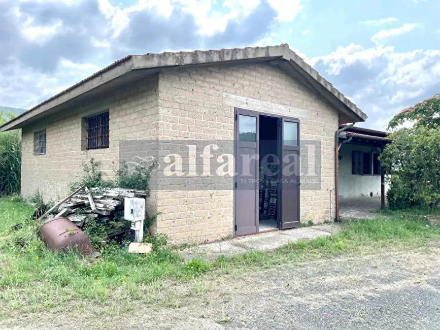 Immagine 19 di Terreno in vendita  a Castiglione Della Pescaia