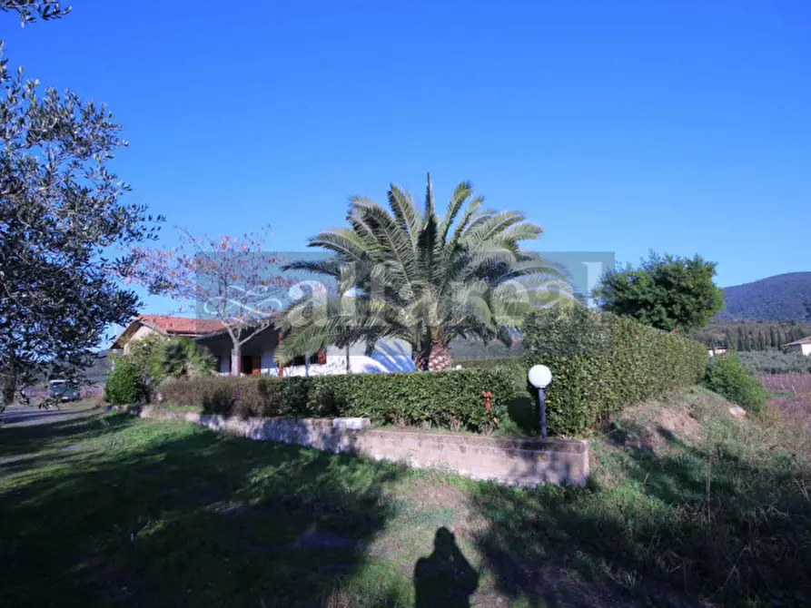 Immagine 21 di Terreno in vendita  a Castiglione Della Pescaia