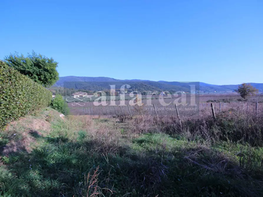 Immagine 22 di Terreno in vendita  a Castiglione Della Pescaia