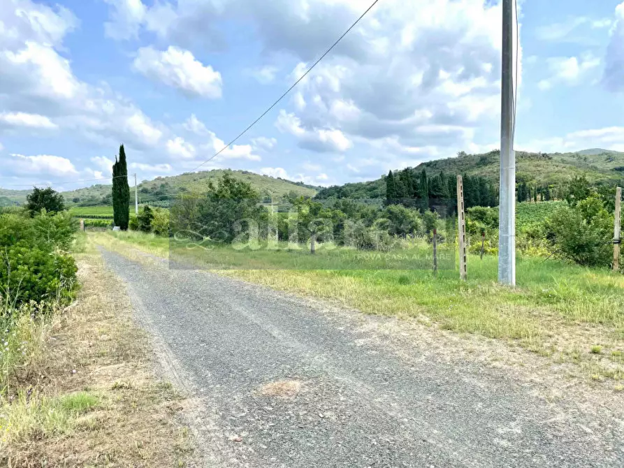 Immagine 31 di Terreno in vendita  a Castiglione Della Pescaia