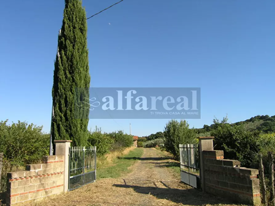 Immagine 33 di Terreno in vendita  a Castiglione Della Pescaia