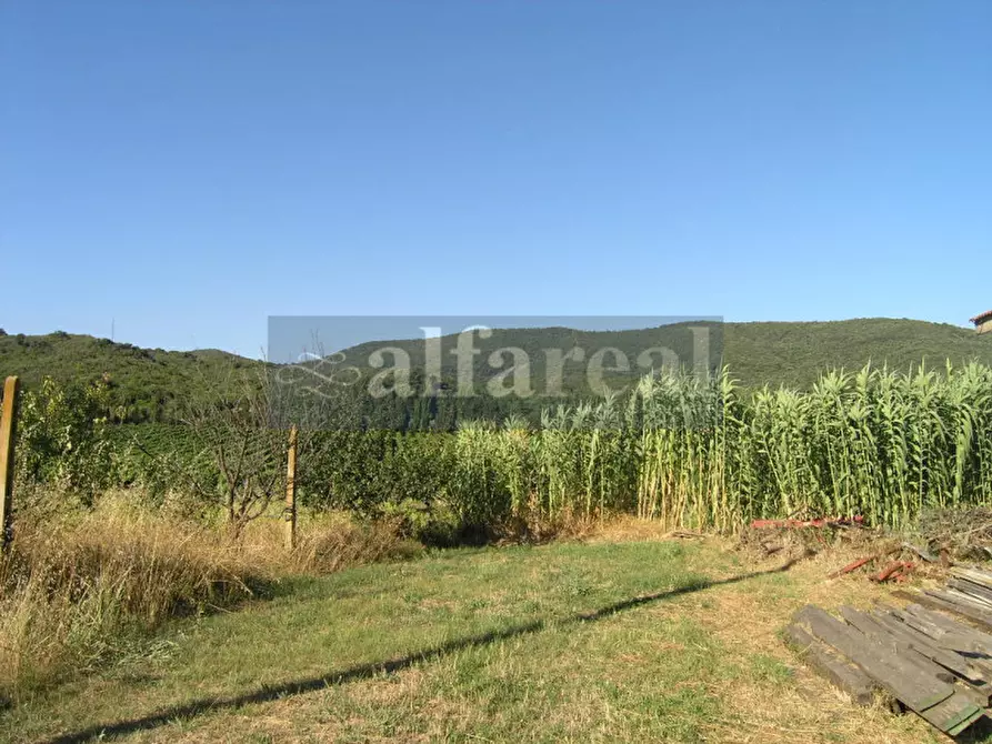 Immagine 34 di Terreno in vendita  a Castiglione Della Pescaia