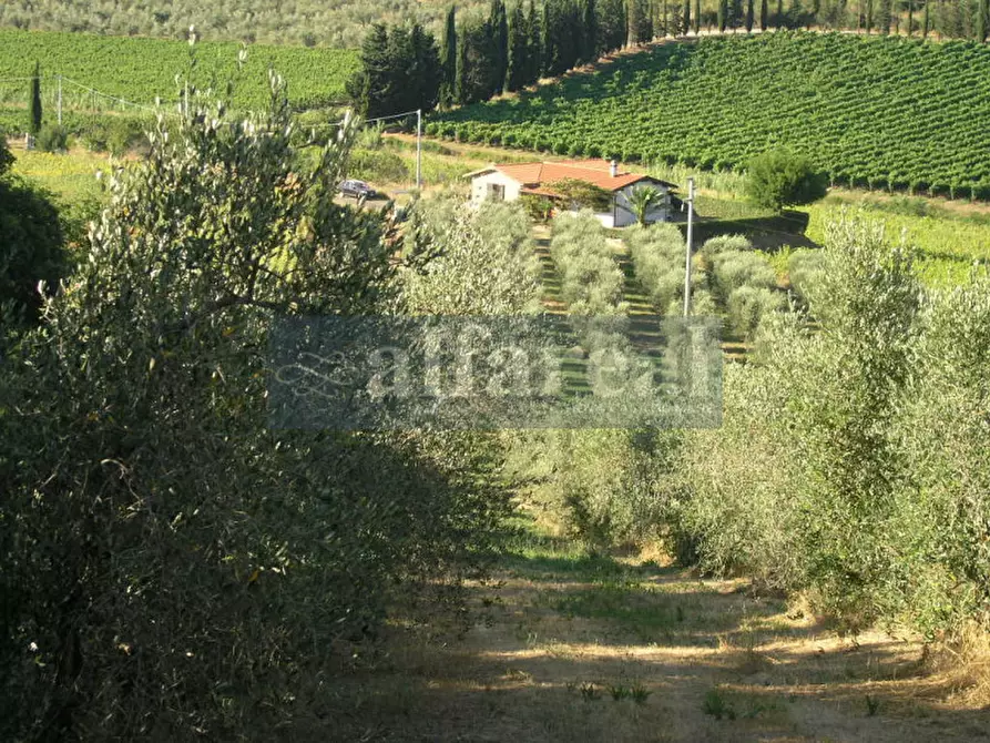 Immagine 35 di Terreno in vendita  a Castiglione Della Pescaia