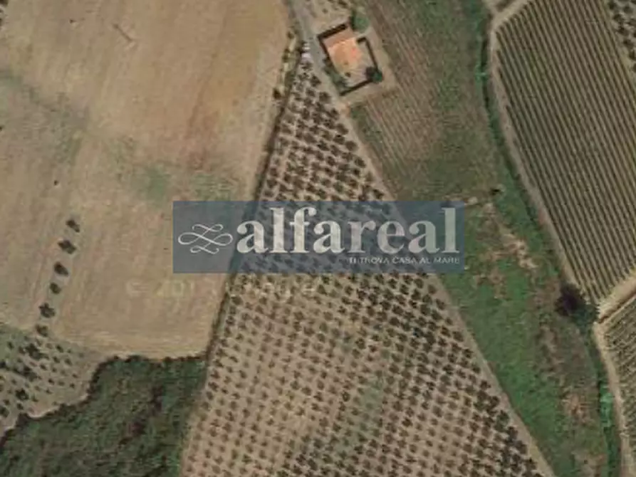 Immagine 40 di Terreno in vendita  a Castiglione Della Pescaia