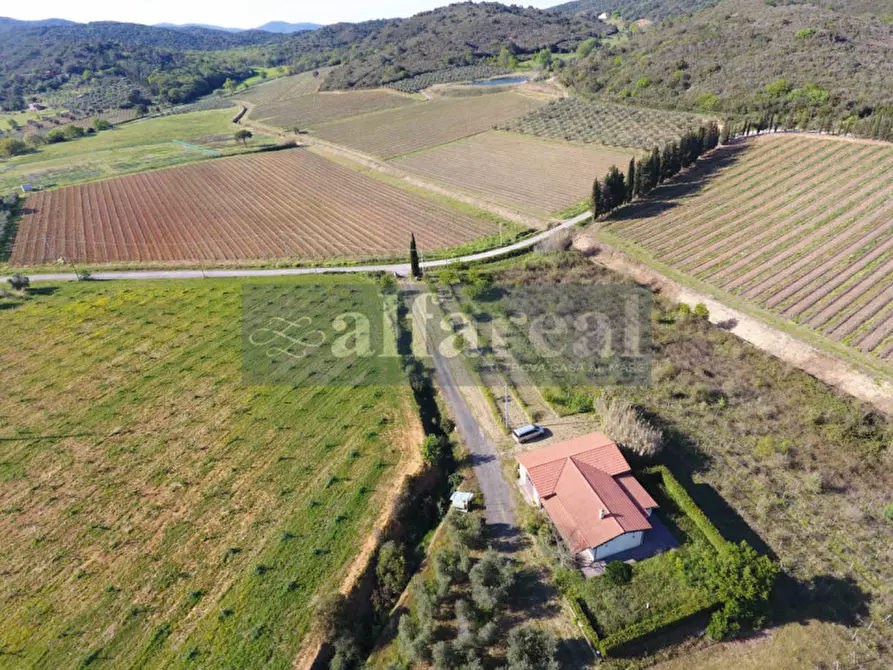 Immagine 42 di Terreno in vendita  a Castiglione Della Pescaia