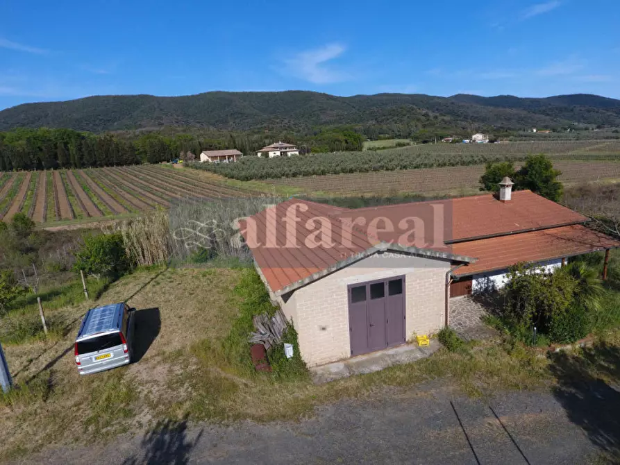 Immagine 44 di Terreno in vendita  a Castiglione Della Pescaia
