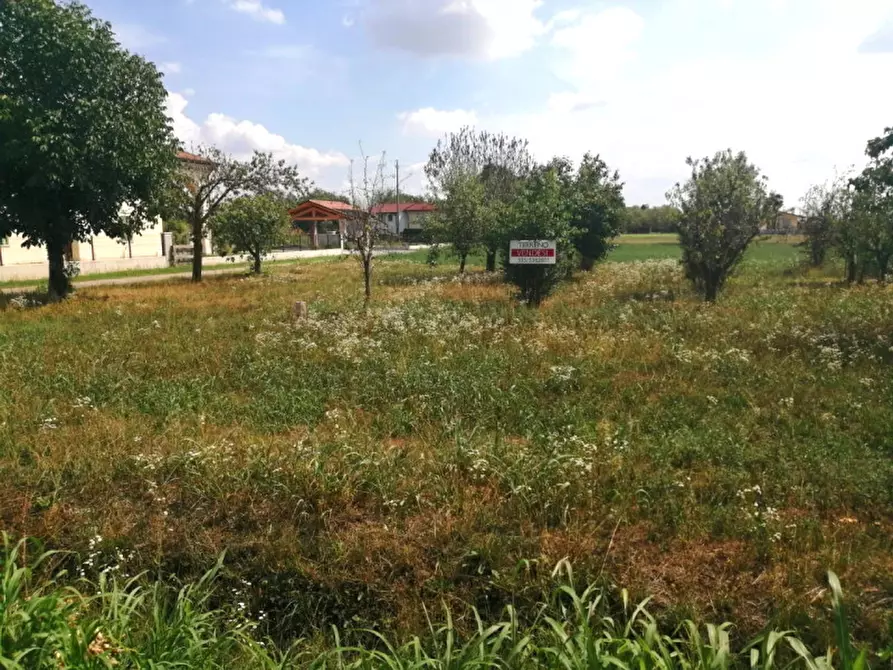 Immagine 1 di Terreno in vendita  a Trevignano