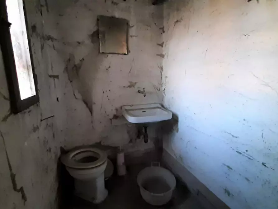 Immagine 11 di Rustico / casale in vendita  in Via Vespucci a Montevarchi