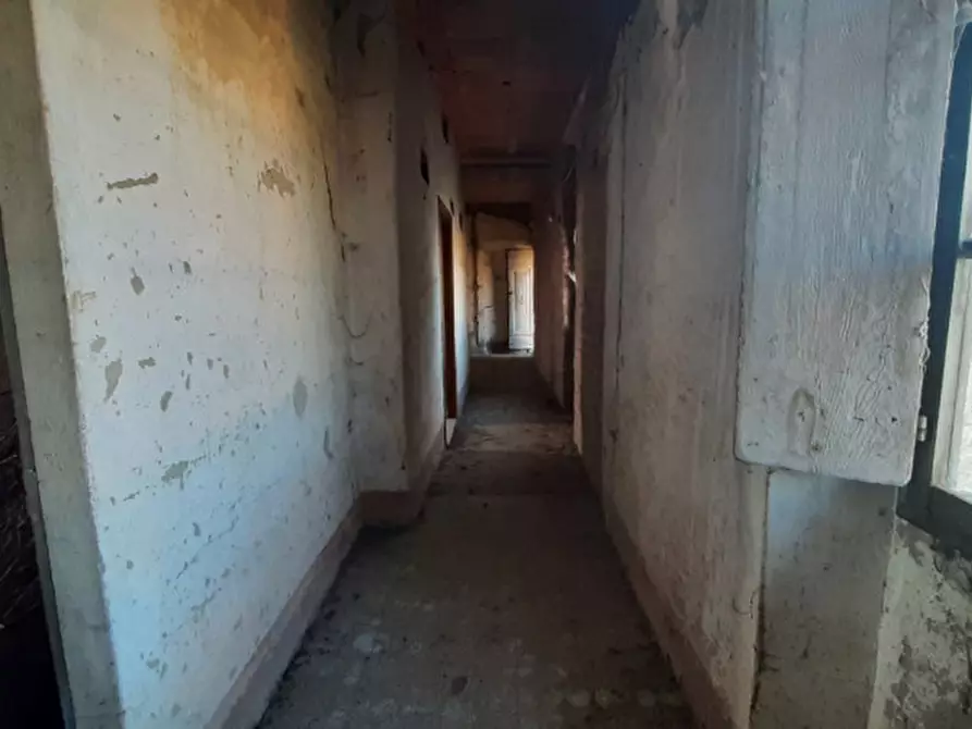 Immagine 12 di Rustico / casale in vendita  in Via Vespucci a Montevarchi