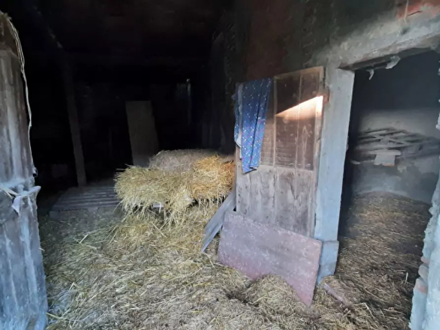 Immagine 20 di Rustico / casale in vendita  in Via Vespucci a Montevarchi