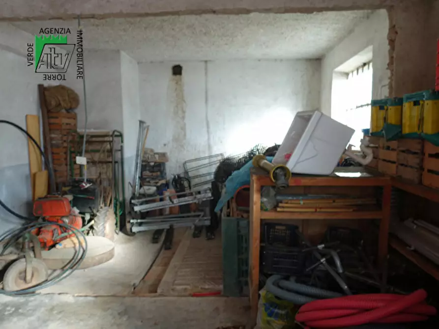 Immagine 11 di Casa indipendente in vendita  in Predaia, frazione Segno piazza a Predaia