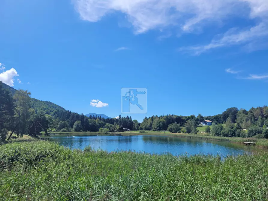 Immagine 9 di Appartamento in vendita  in via malga a Madruzzo