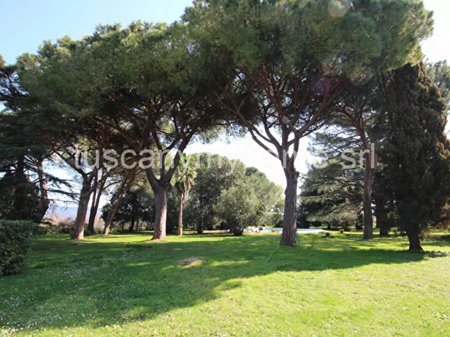 Immagine 12 di Appartamento in vendita  a Castiglione Della Pescaia