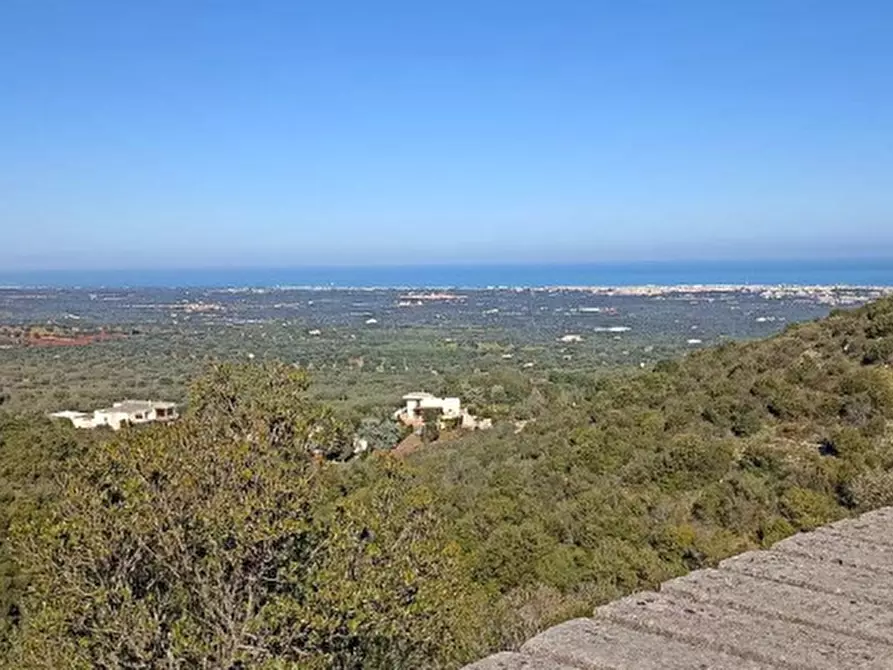 Immagine 1 di Villa in vendita  a Monopoli