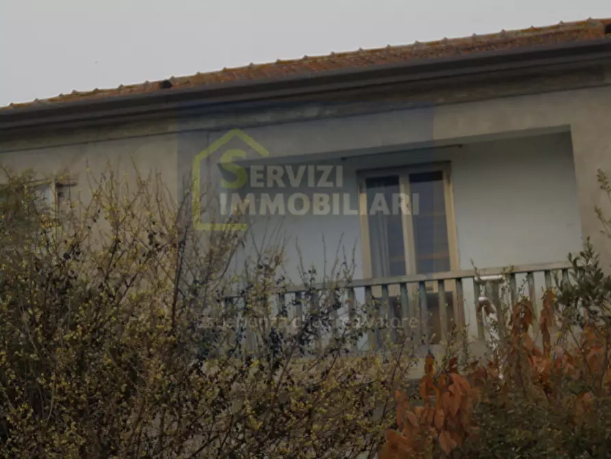 Immagine 40 di Casa indipendente in vendita  in Via Paolino a Fratta Polesine